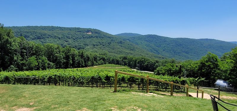 Route 52 Puts The Stand Right In North Georgia Apple Country