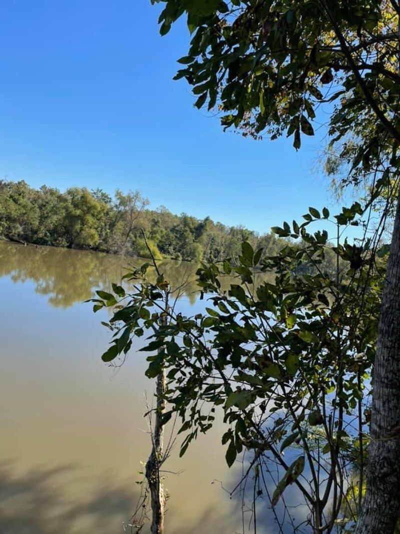 Paddle The Quiet Bayous