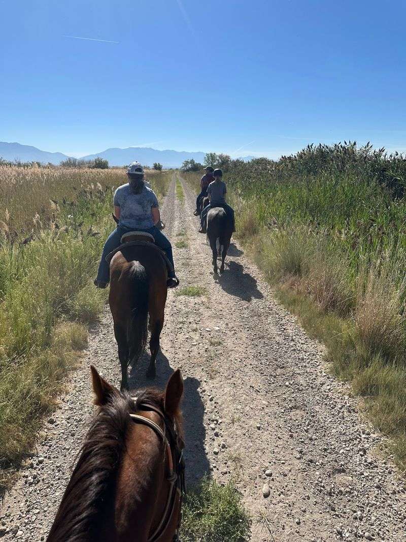Double Diamond Hill Ranch (DDH Ranch), West Bountiful
