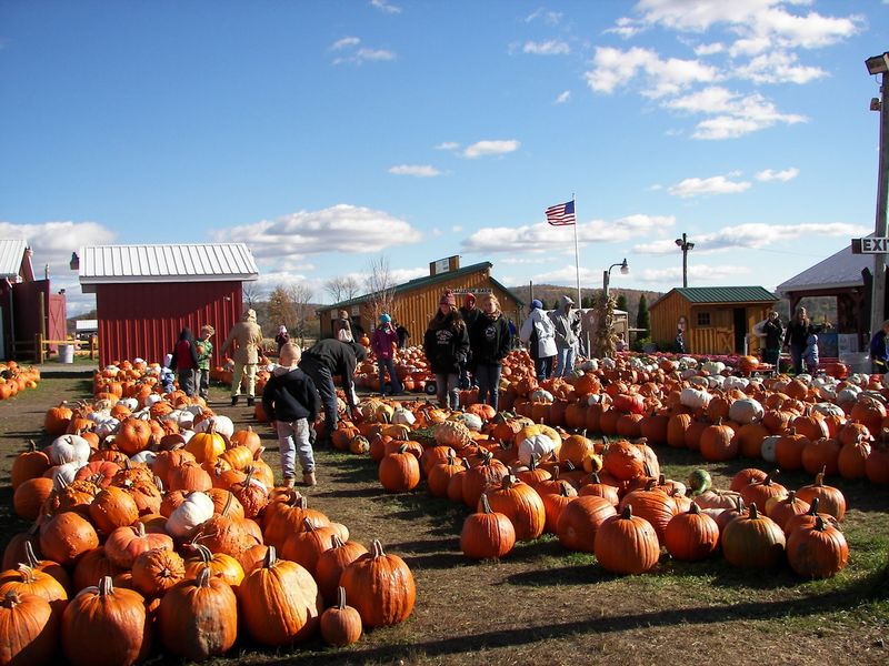 Roba Family Farms