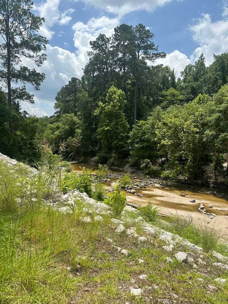 Go Early For Quiet Water And Shade