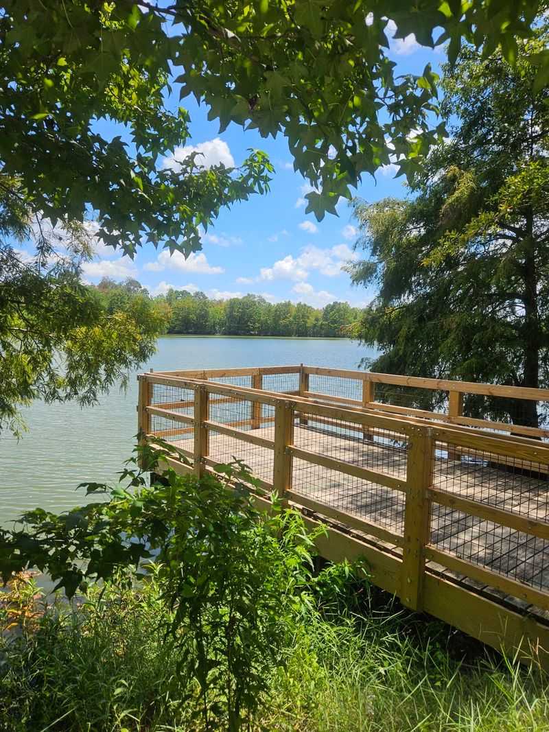 Time Your Visit Around Water Levels