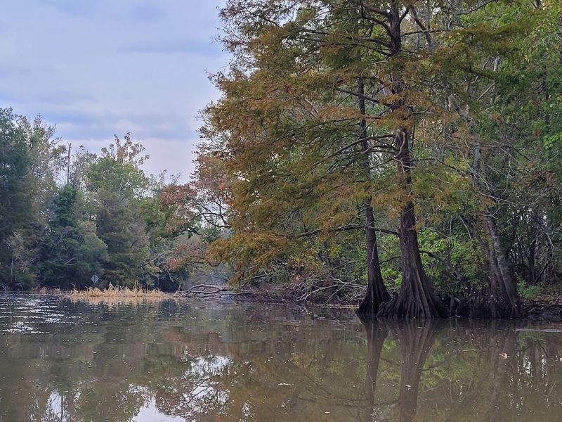 Learn The Human Story Of The Basin
