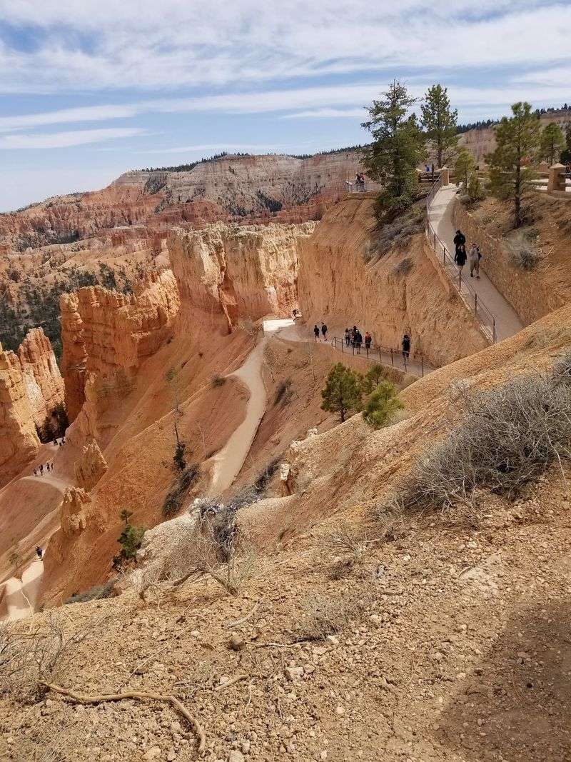 Drivers Should Treat The Scenery Like A Passenger, Not A Distraction