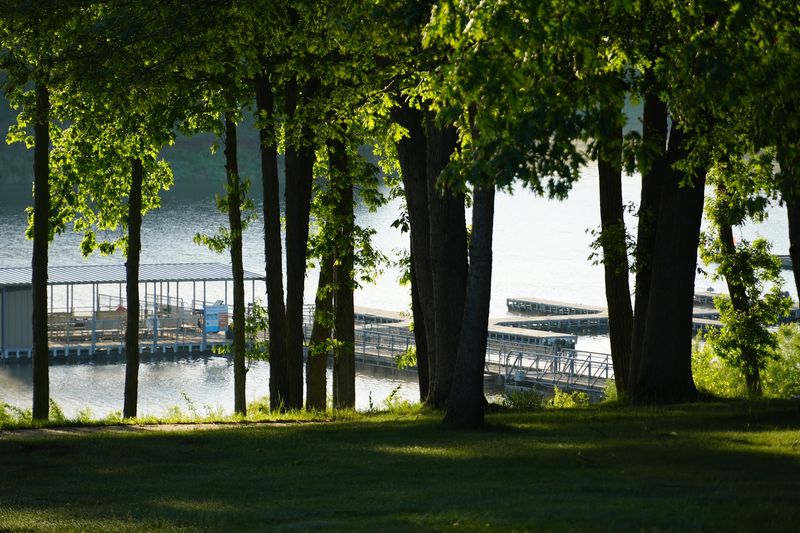 Trails, Woodland Mounds, And A Nature Center