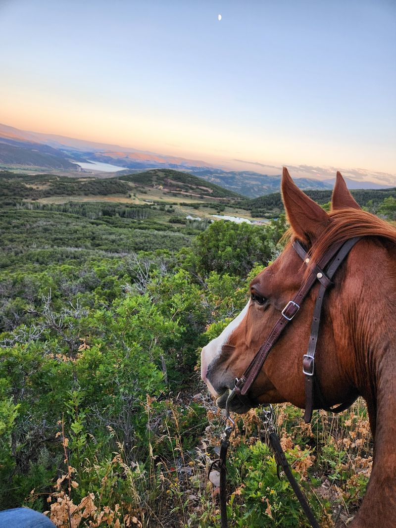 Z Cross Ranch, Wanship