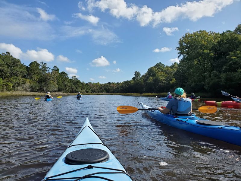 Paddlers Reach The Island Through A Different Landscape