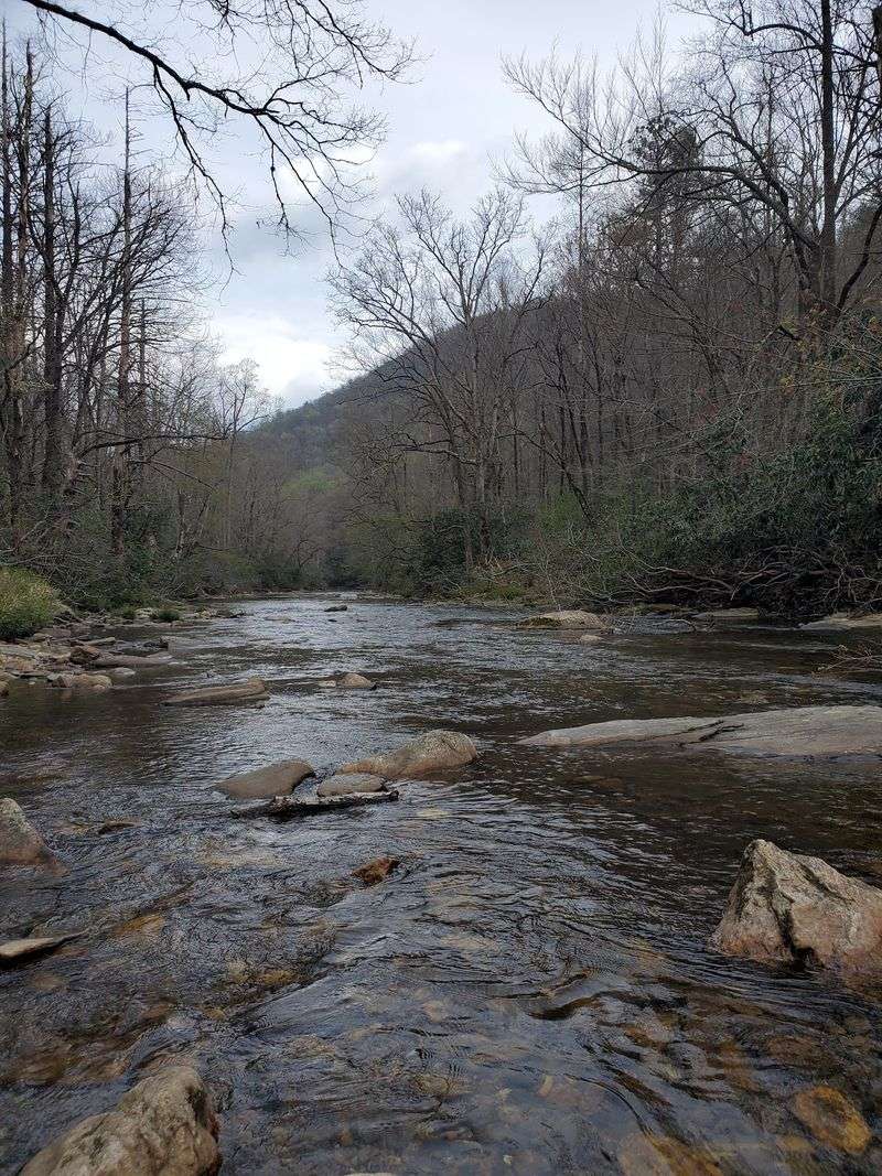 Small Streams Keep Water In The Conversation