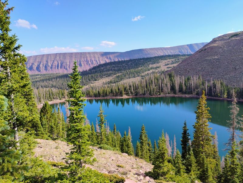 Red Cloud Loop Scenic Backway, Ashley National Forest