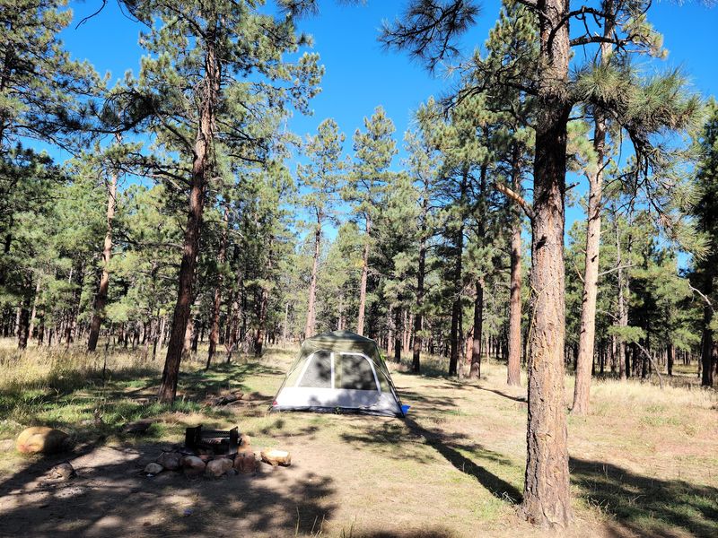 McCrystal Campground, Cimarron