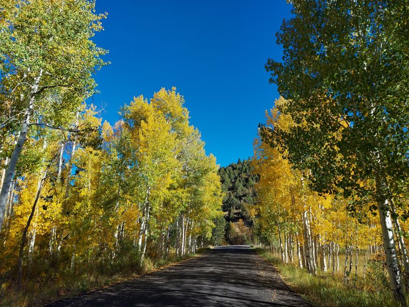 Woods Ranch Recreation Area, Cedar City