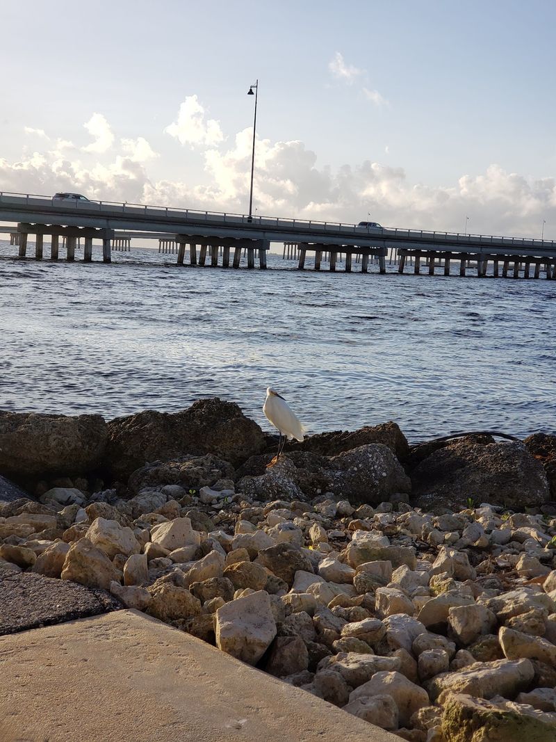 Punta Gorda