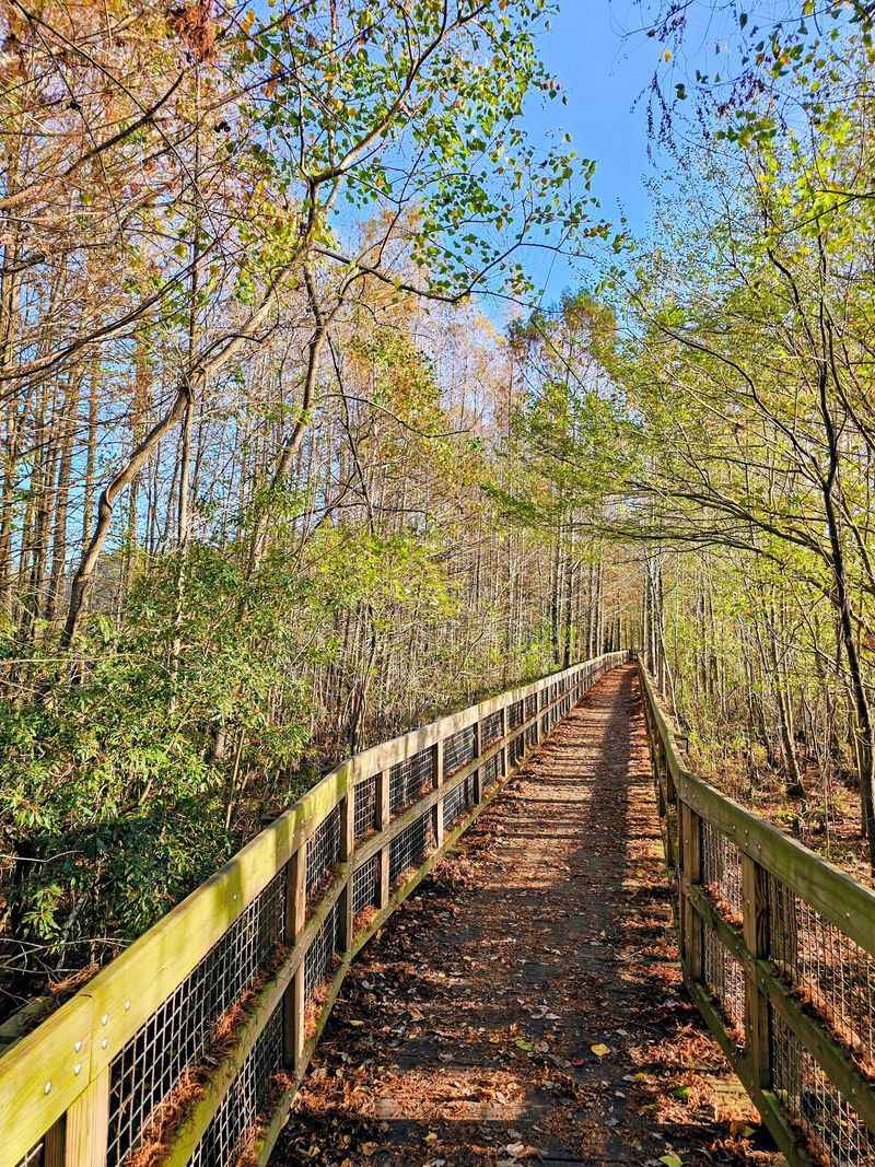 Exit 11 Trades The Interstate For Cypress Swamp