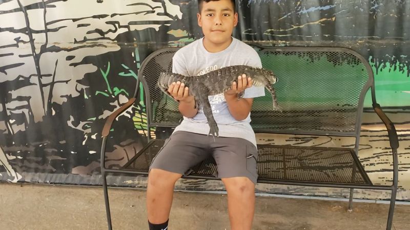 Save A Little Time For The Baby Gator Hold