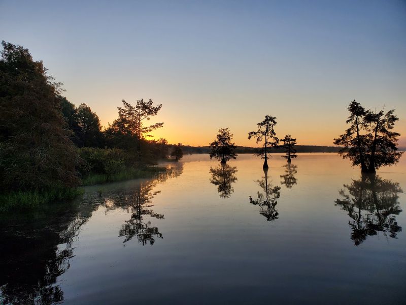 Lake D'Arbonne State Park