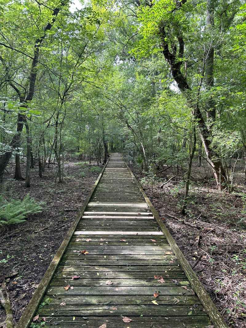 Lake Fausse Pointe State Park