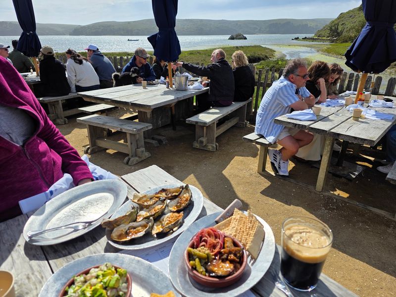 Friendly Faces and Dog-Friendly Tables