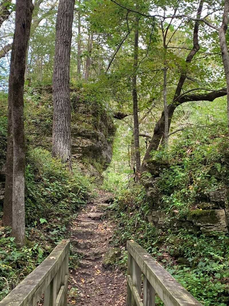 Backbone State Park, Dundee