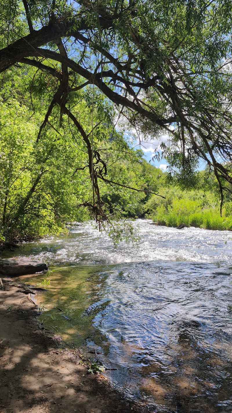Bridger Campground