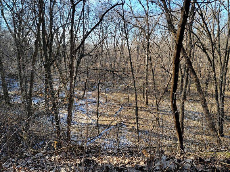 Spring Creek Geologic Study Area, La Porte City