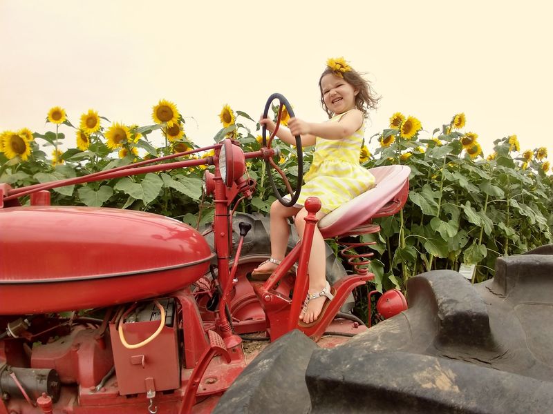Tractors, A Corn Box, And Snacks For Kids