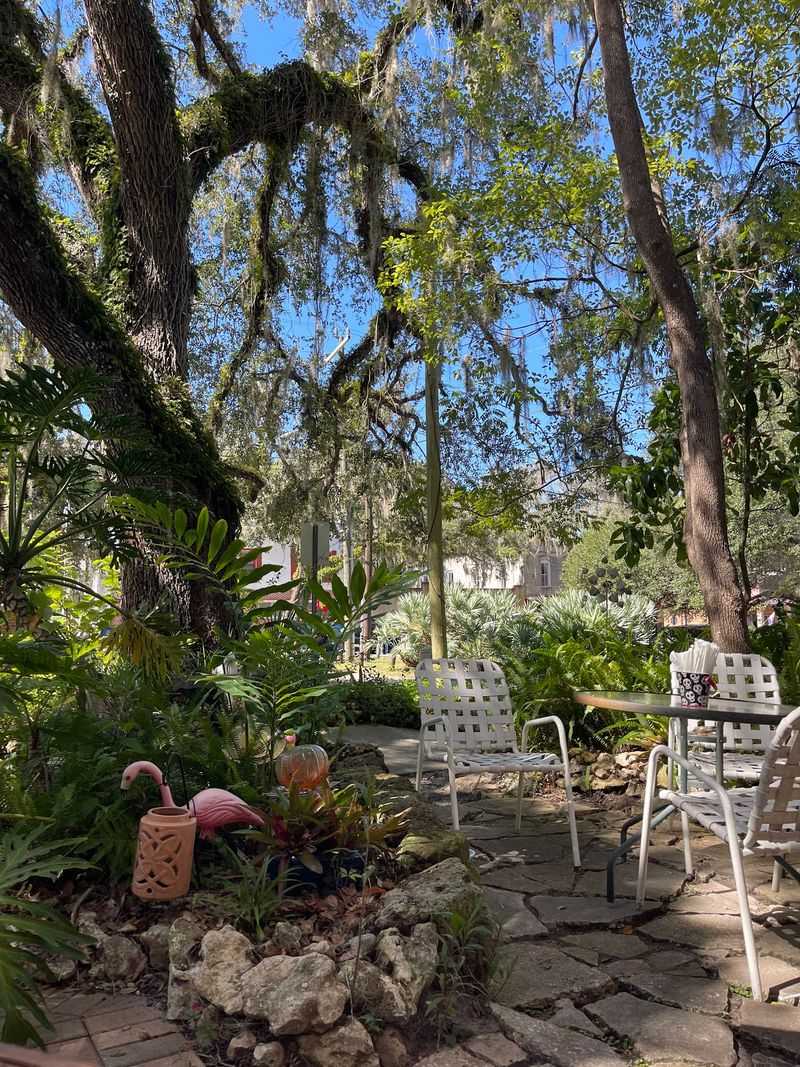 The Deck Under the Spanish Moss