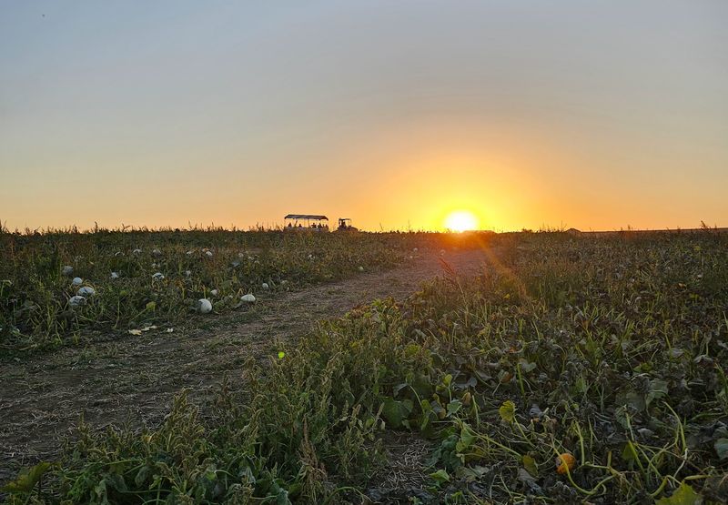 Fields of Fun, Sioux Center