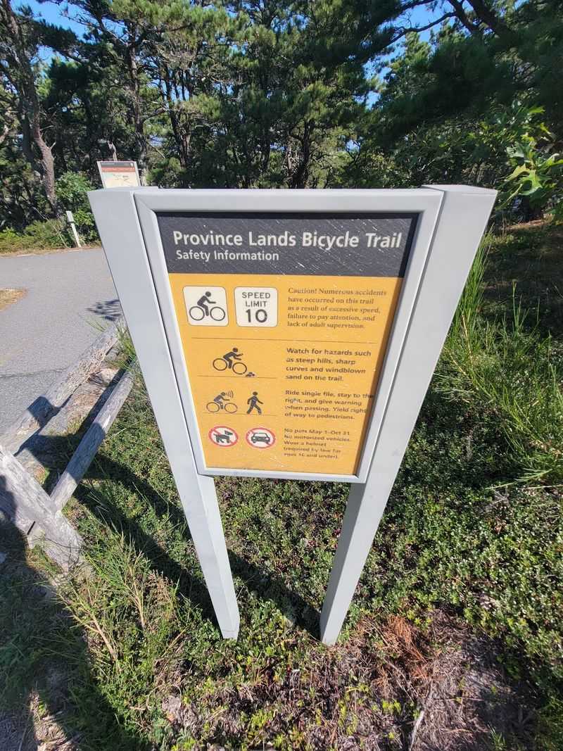 Province Lands Turns A Bike Ride Into A Real Cape Cod Challenge