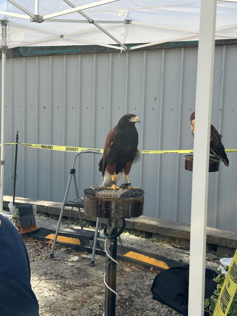 A Community Anchor For Northeast Kansas Wildlife Care