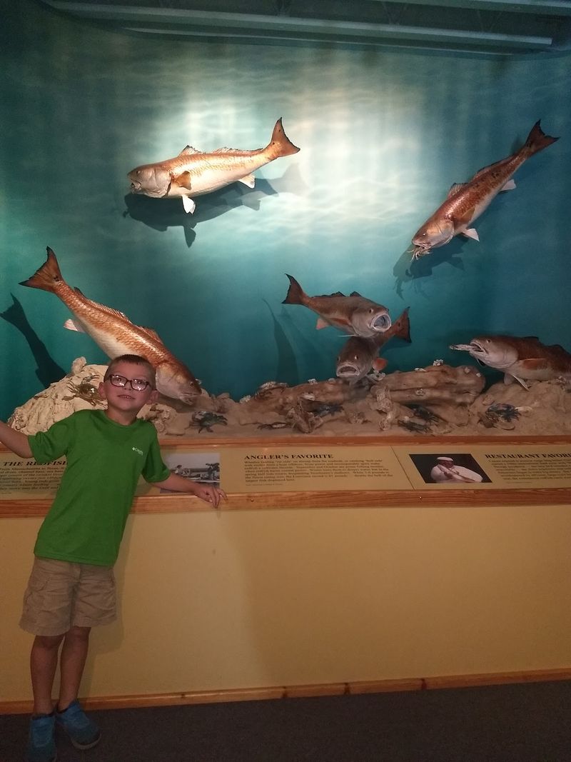 Bring Family And Let Curiosity Lead