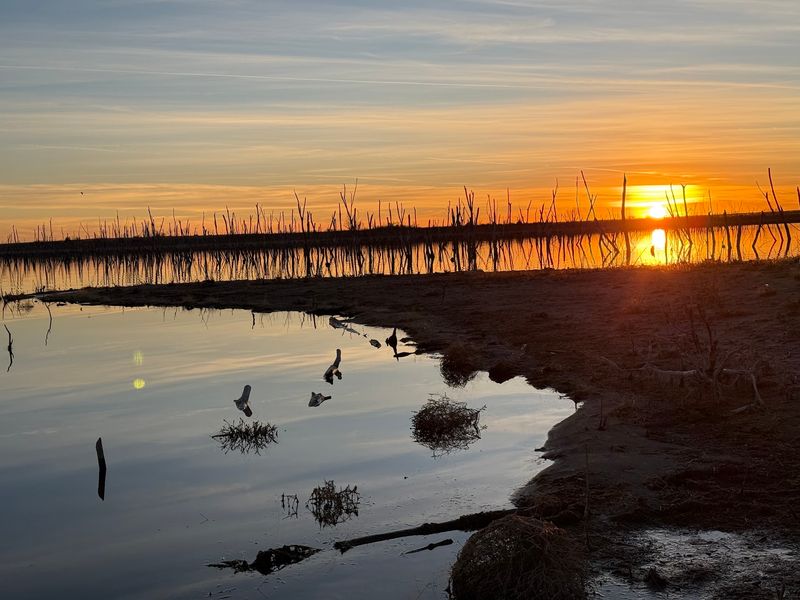 Cedar Bluff State Park, Ellis