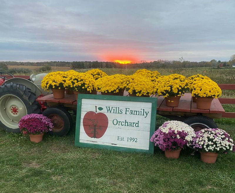 Wills Family Orchard, Adel