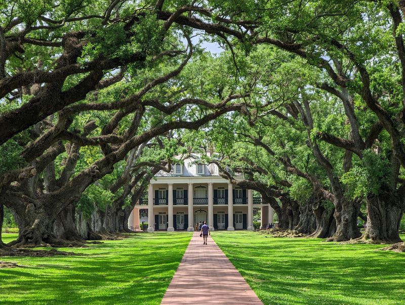 Oak Alley Plantation