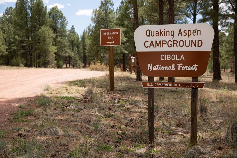 Quaking Aspen Campground, Grants