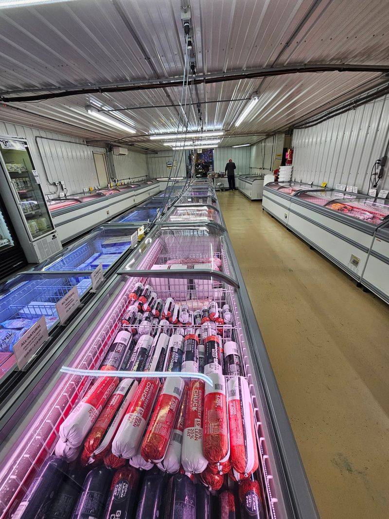 Freezer Foods, Meat And Cheese Fill Out The Grocery Run