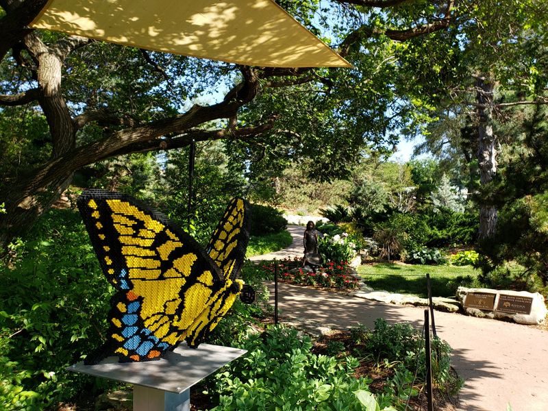Chrysalis Cases Where New Wings Appear
