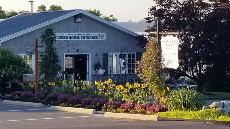 Hoover's Farm Market & Greenhouse