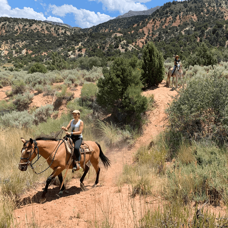 Rising K Ranch Horseback Rides, Cedar City