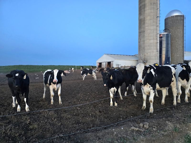 Hansen's Dairy Farm and Creamery, Hudson