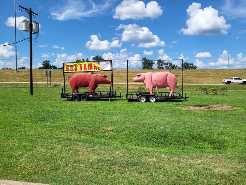 Watch For The Red Pig Outside