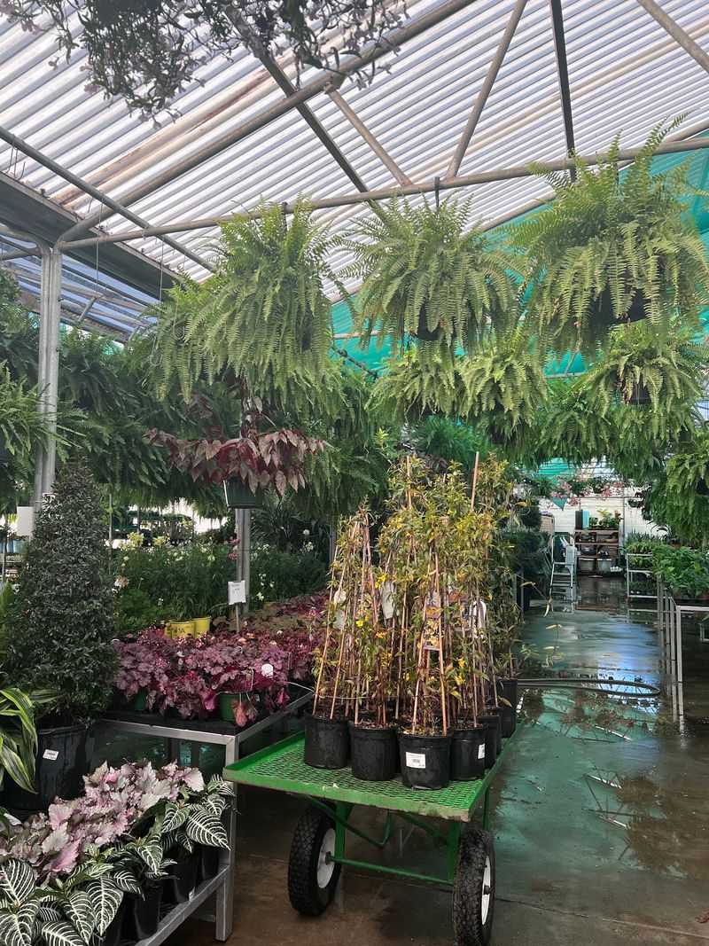 Ask About Edibles And Fruit Trees Early