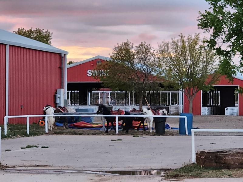 Livestock Barns Bring Country Fair Character