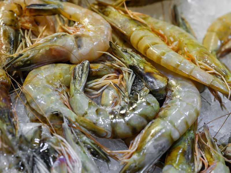Kim Chauvin’s Seafood Company