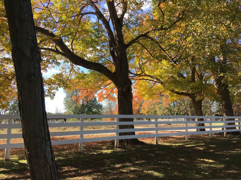 September Brings A Centuries-Old Agricultural Story Back To Life