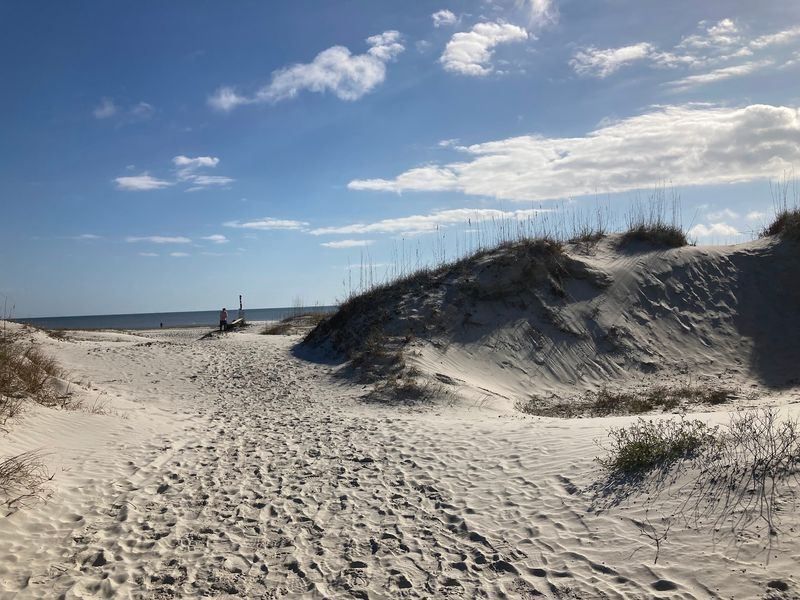 Dunes Guard More Than A Pretty View