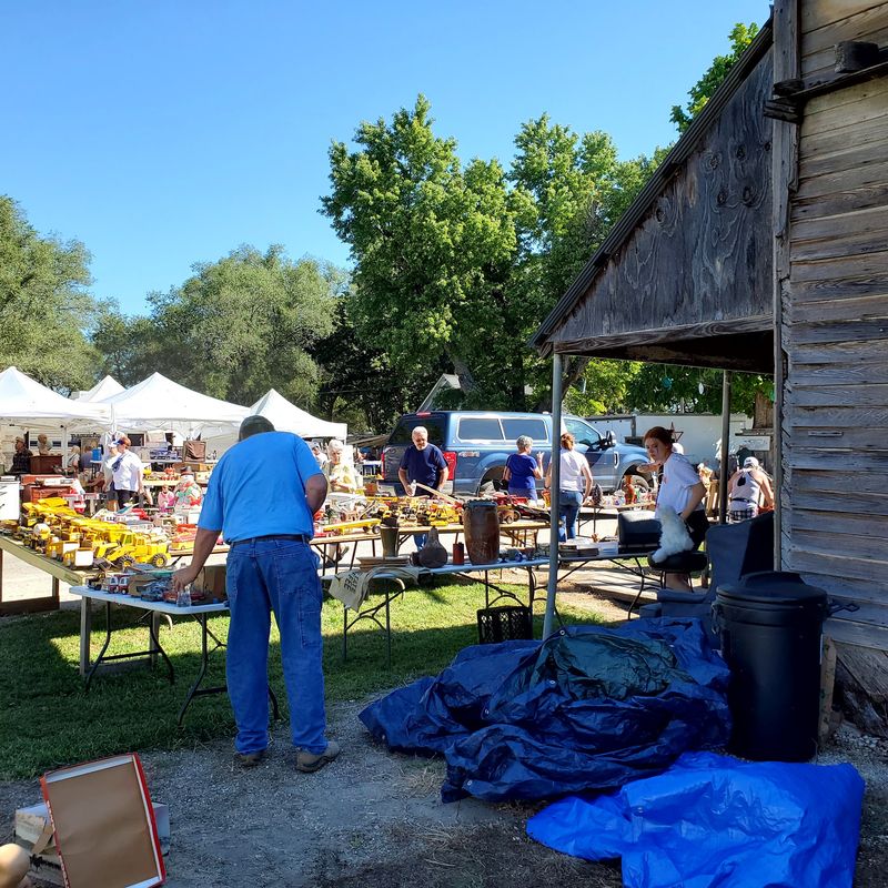 Hundreds Of Vendors Spread Across Gravel And Grass
