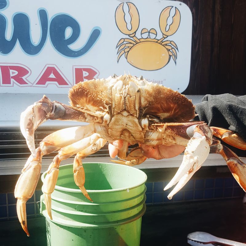 Fresh Crab and King Crab Legs Worth Celebrating