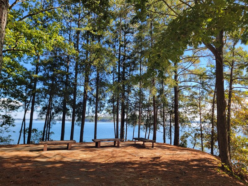 Public Parks And Ramps Put The Water Within Easy Reach