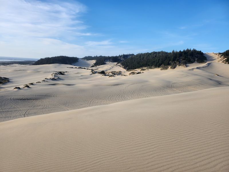 The Oregon Dunes Put Forty Miles Of Sand Around The Region