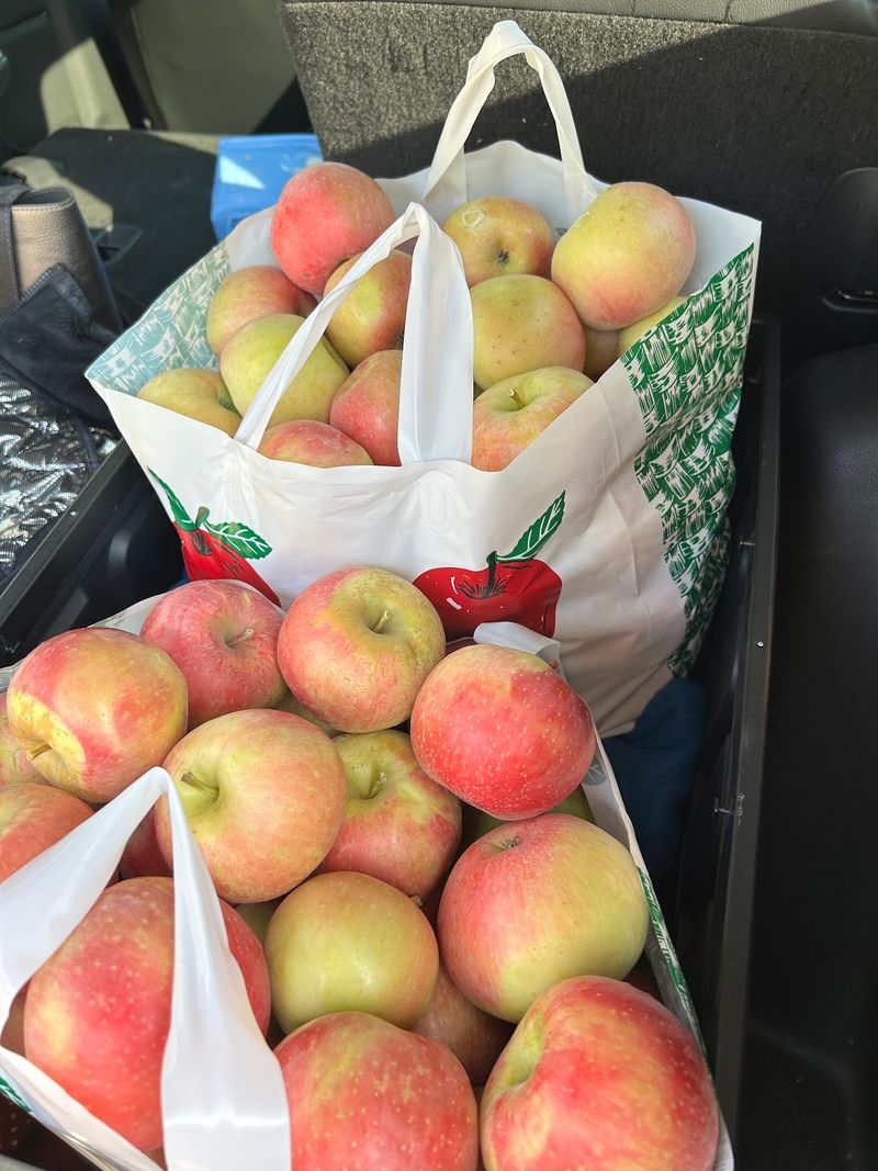 Generations Of Orchard History Sit Behind This October Tradition